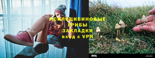 прущая мука Арсеньев